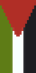 Palestine flag Minecraft banner