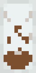 Pirate Minecraft shield