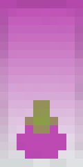 Berry Minecraft shield