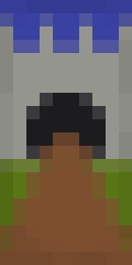 Castle lol Minecraft shield
