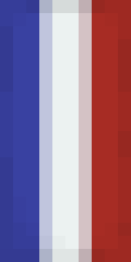 Bouclier français Minecraft shield